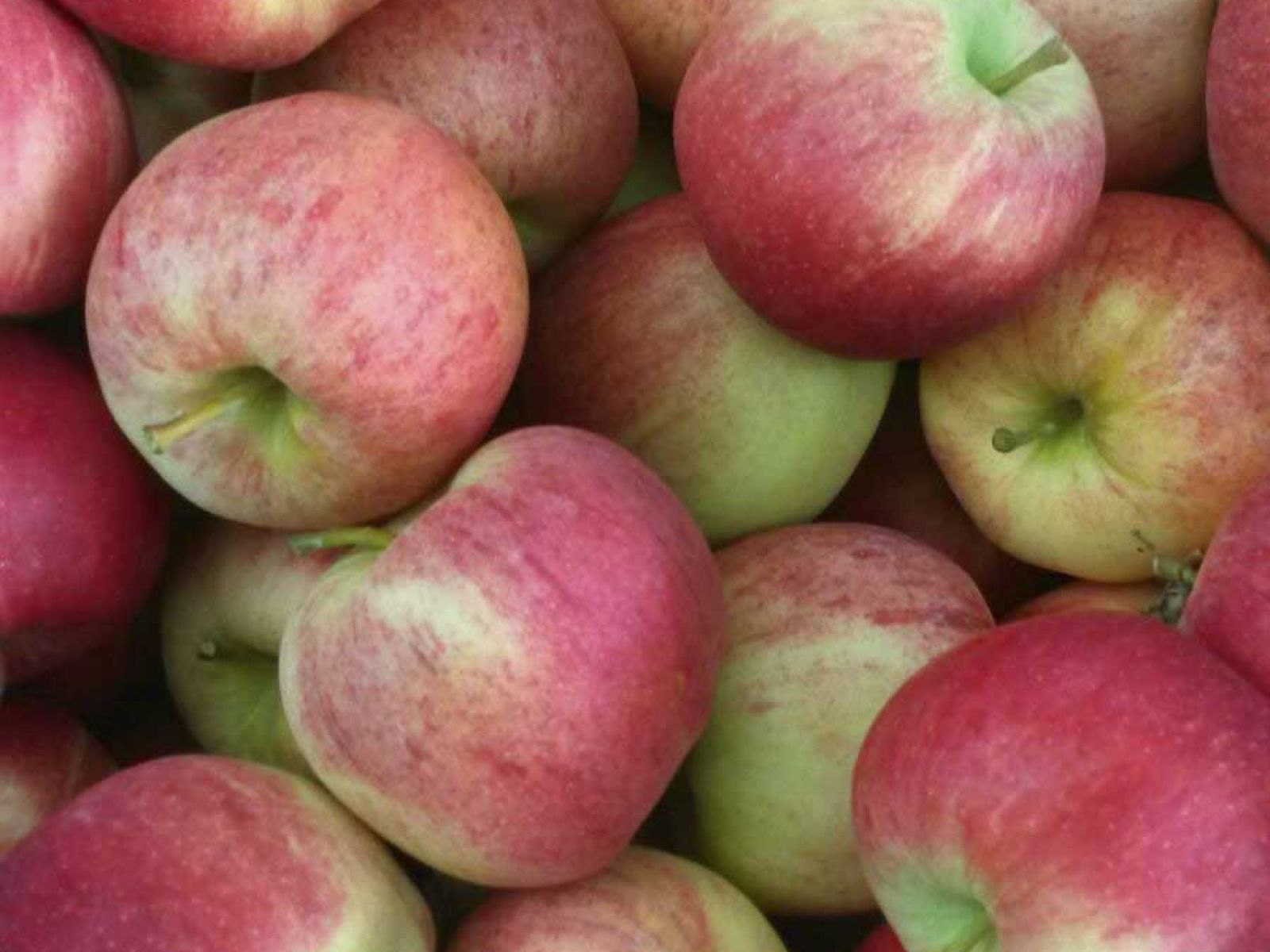 Mehr als nur Obst